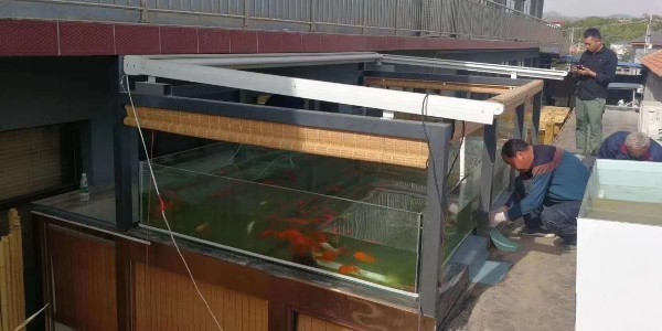 景觀魚池滲漏水維修施工